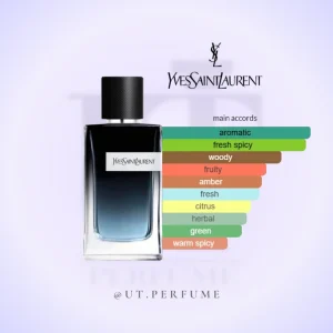 ایو سن لورن | Yves Saint Laurent