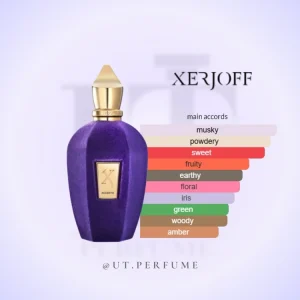 خرید و قیمت عطر زرجوف اکسنتو | رایحه میوه‌ای و پودری | گالری عطر یوتی | Xerjoff - Accento