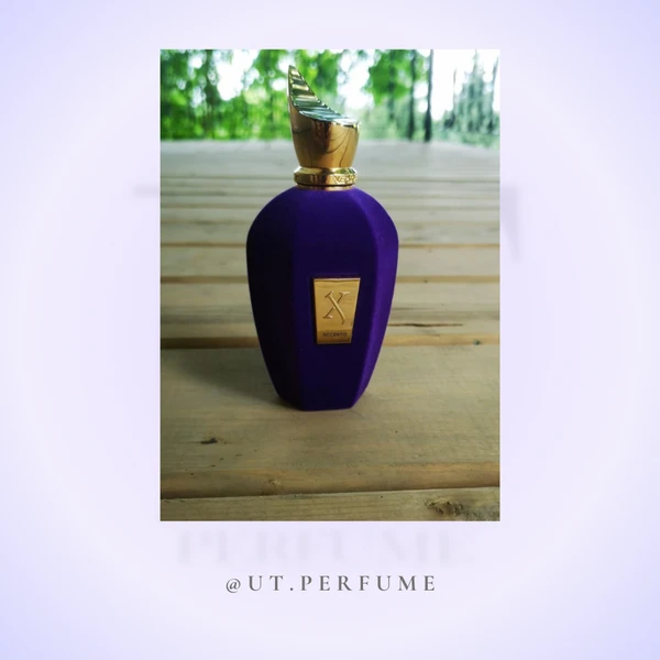 خرید و قیمت عطر زرجوف اکسنتو | رایحه میوهای و پودری | گالری عطر یوتی | Xerjoff - Accento