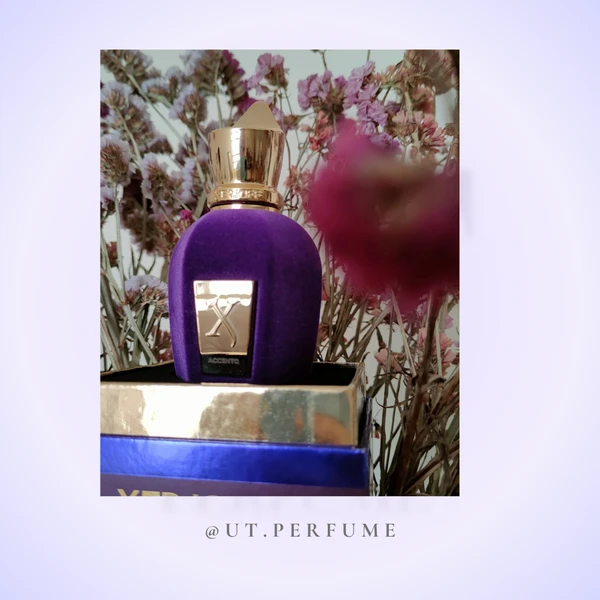 خرید و قیمت عطر زرجوف اکسنتو | رایحه میوهای و پودری | گالری عطر یوتی | Xerjoff - Accento
