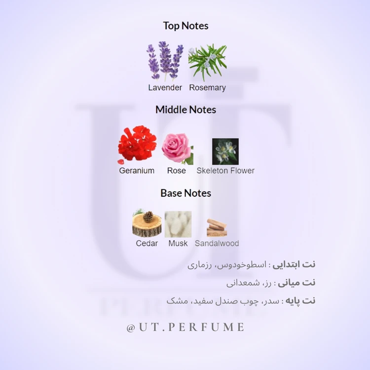 عطر زرجوف کازاموراتی کاسافیوچرا (کاسافوتورا) | Xerjoff - Casamorati Casafutura