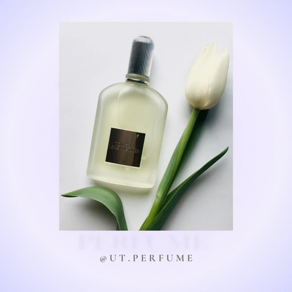 عطر تام فورد گری وتیور مردانه | Tom Ford - Grey Vetiver