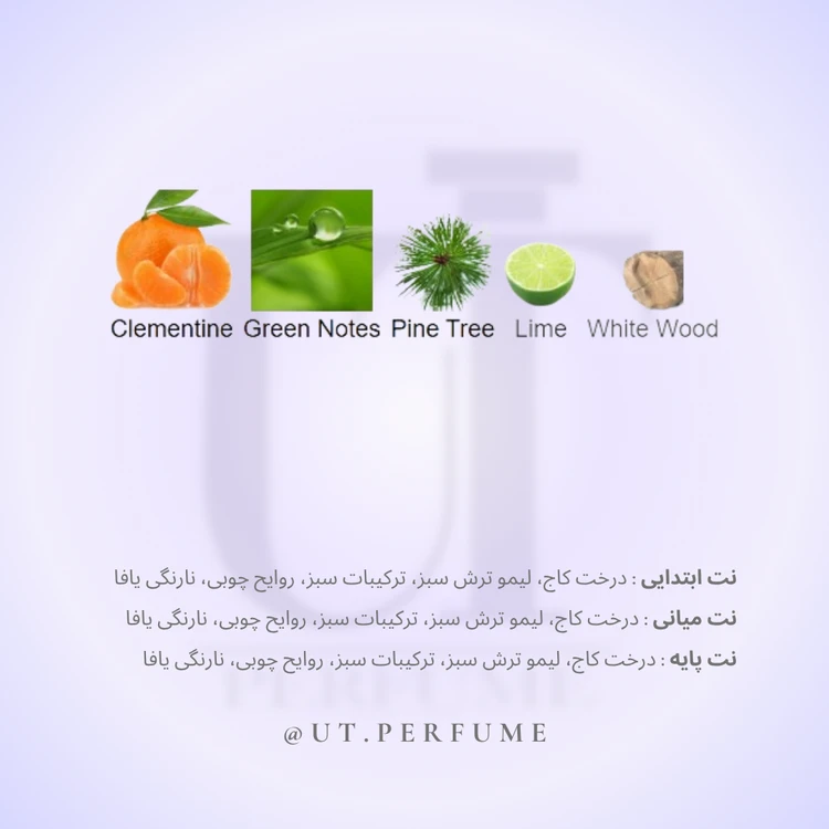 عطر تامی هیلفیگر تی مردانه | TOMMY HILFIGER - Tommy Hilfiger T
