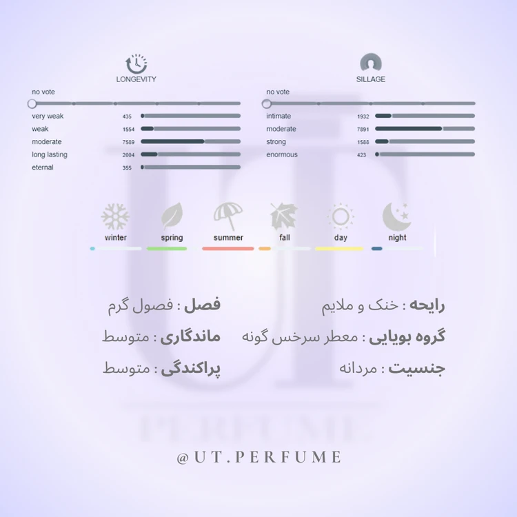 عطر ورساچه پورهوم (ورساچه آبی) مردانه | Versace - Pour Homme