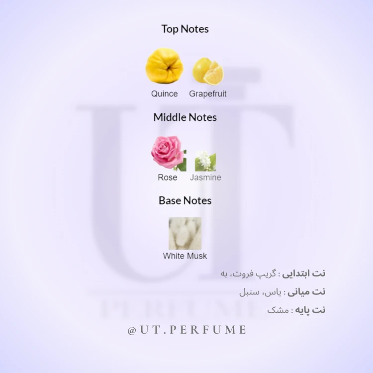 عطر شنل چنس او تندر-صورتی زنانه | Chanel - Chance Eau Tendre