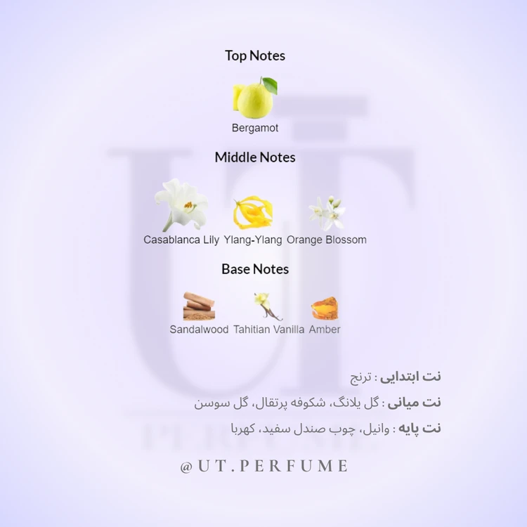 عطر گوچی بامبو زنانه | Gucci - Bamboo