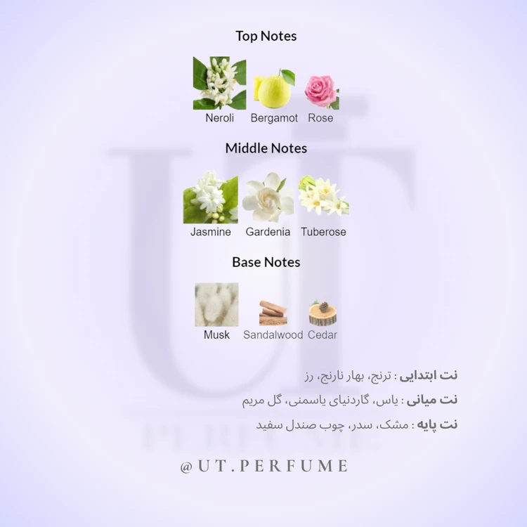 عطر لالیک لامور زنانه | Lalique - L’Amour