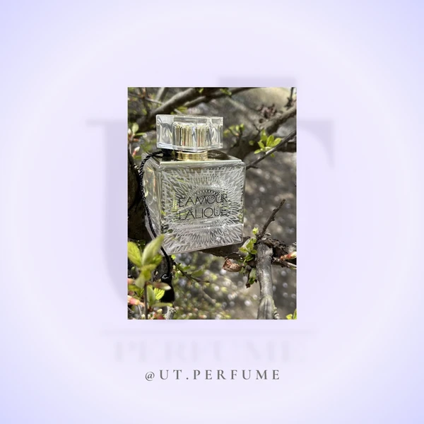 عطر لالیک لامور زنانه | Lalique - L’Amour