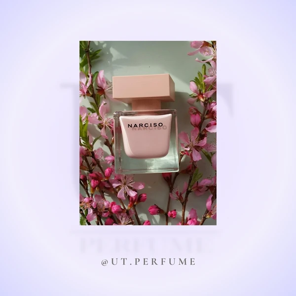 عطر نارسیسو رودریگز پودری زنانه | Narciso Rodriguez - Poudree