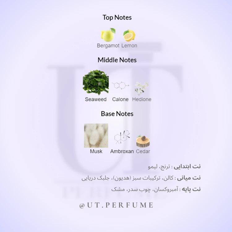 عطر ارتو پاریسی مگاماره | Orto Parisi - Megamare