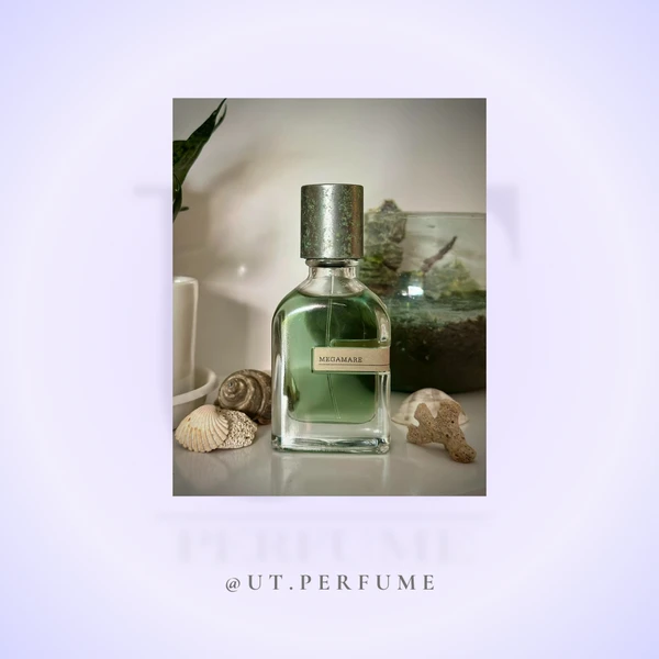 عطر ارتو پاریسی مگاماره | Orto Parisi - Megamare