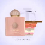 عطر آمواج گایدنس | Amouage - Guidance