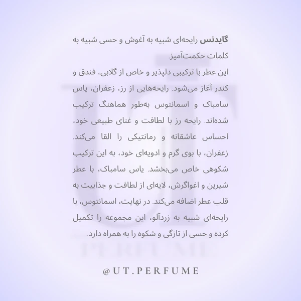عطر آمواج گایدنس | Amouage - Guidance