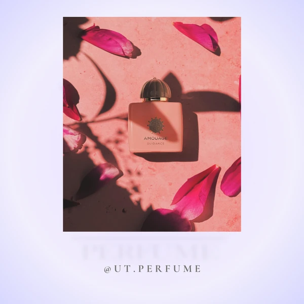 عطر آمواج گایدنس | Amouage - Guidance