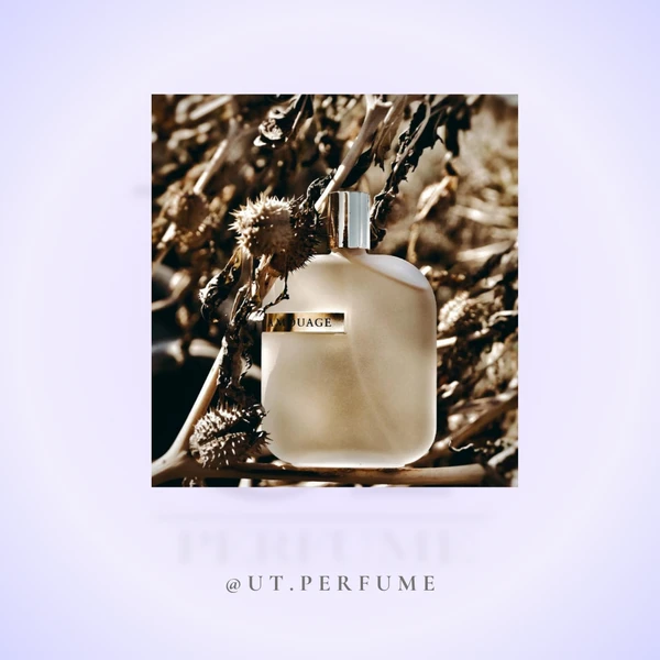 عطر آمواج اوپوس پنج | Amouage - Opus V