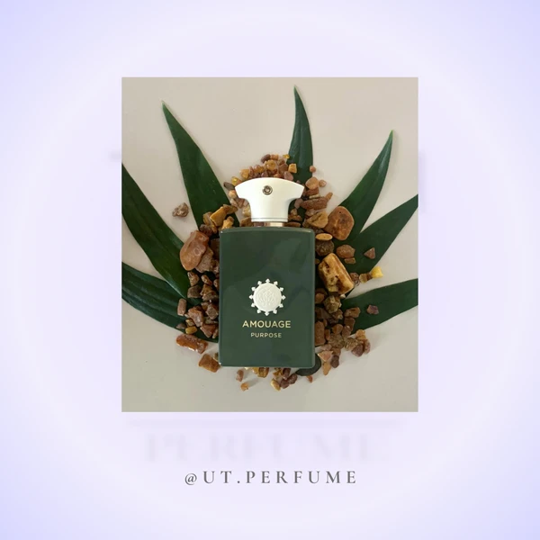 عطر آمواج پِرپِس | Amouage - Purpose