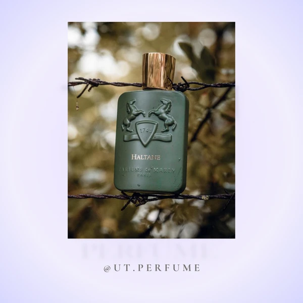 عطر مارلی هالتان مردانه | Parfums de Marly - Haltane