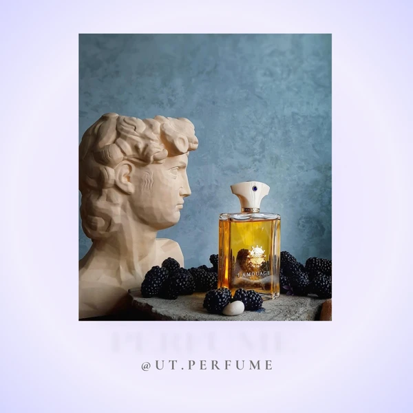 عطر آمواج جوبیلیشن مردانه | Amouage - Jubilation for Man